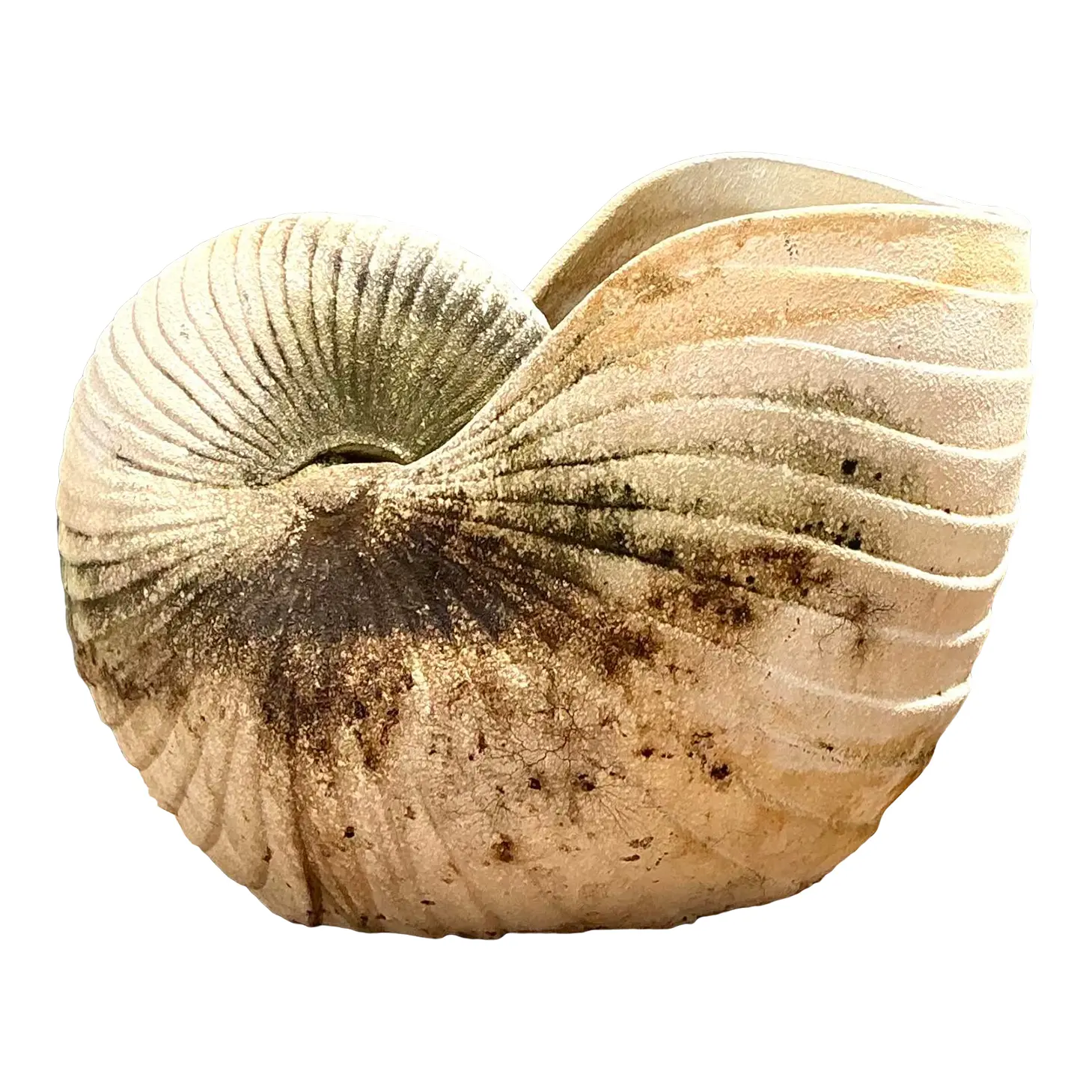Vintage Cast Nautilus Shell Planter