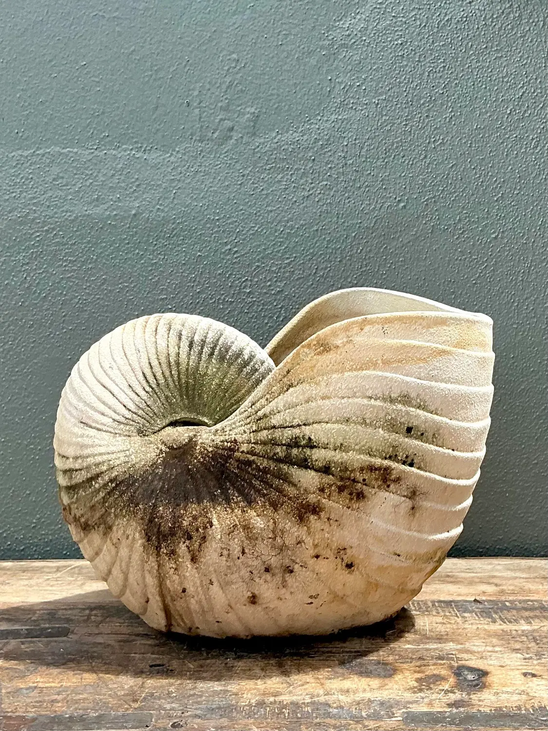 Vintage Cast Nautilus Shell Planter - Detail view
