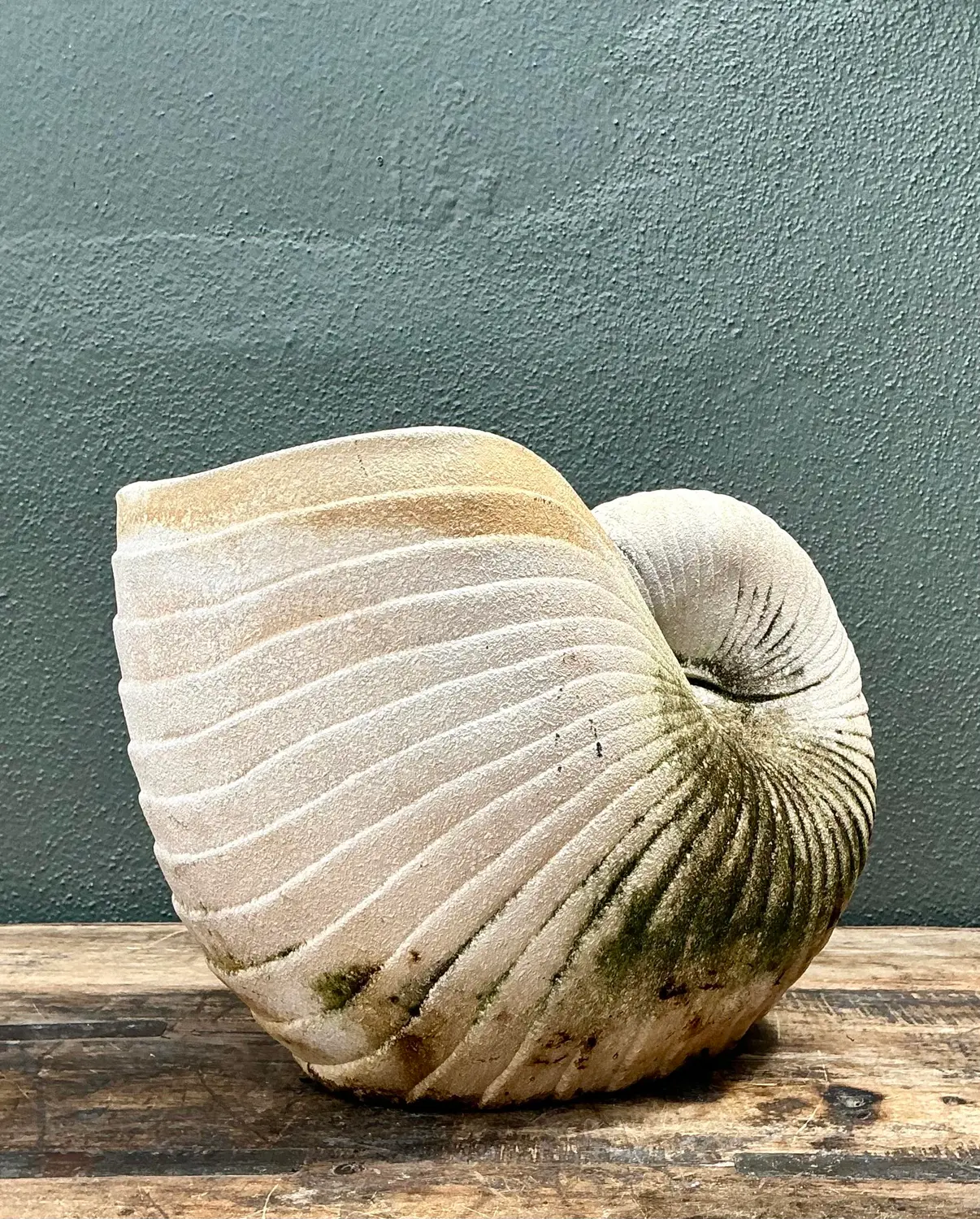 Vintage Cast Nautilus Shell Planter - Side view