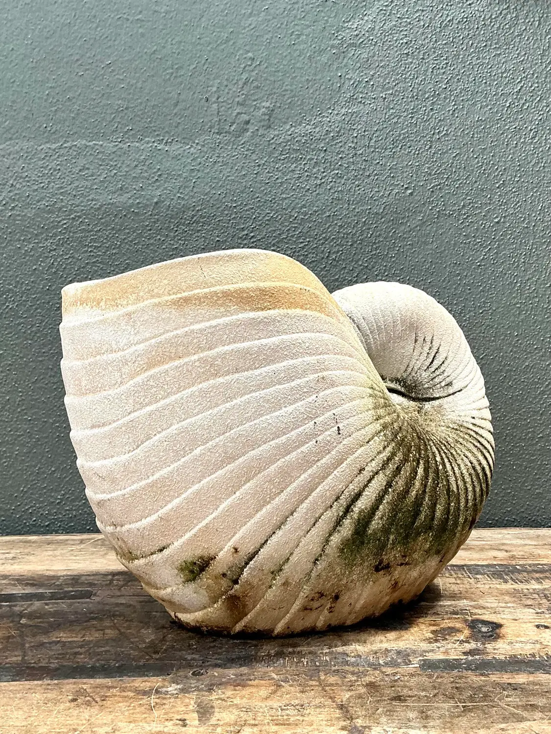Vintage Cast Nautilus Shell Planter - Back view