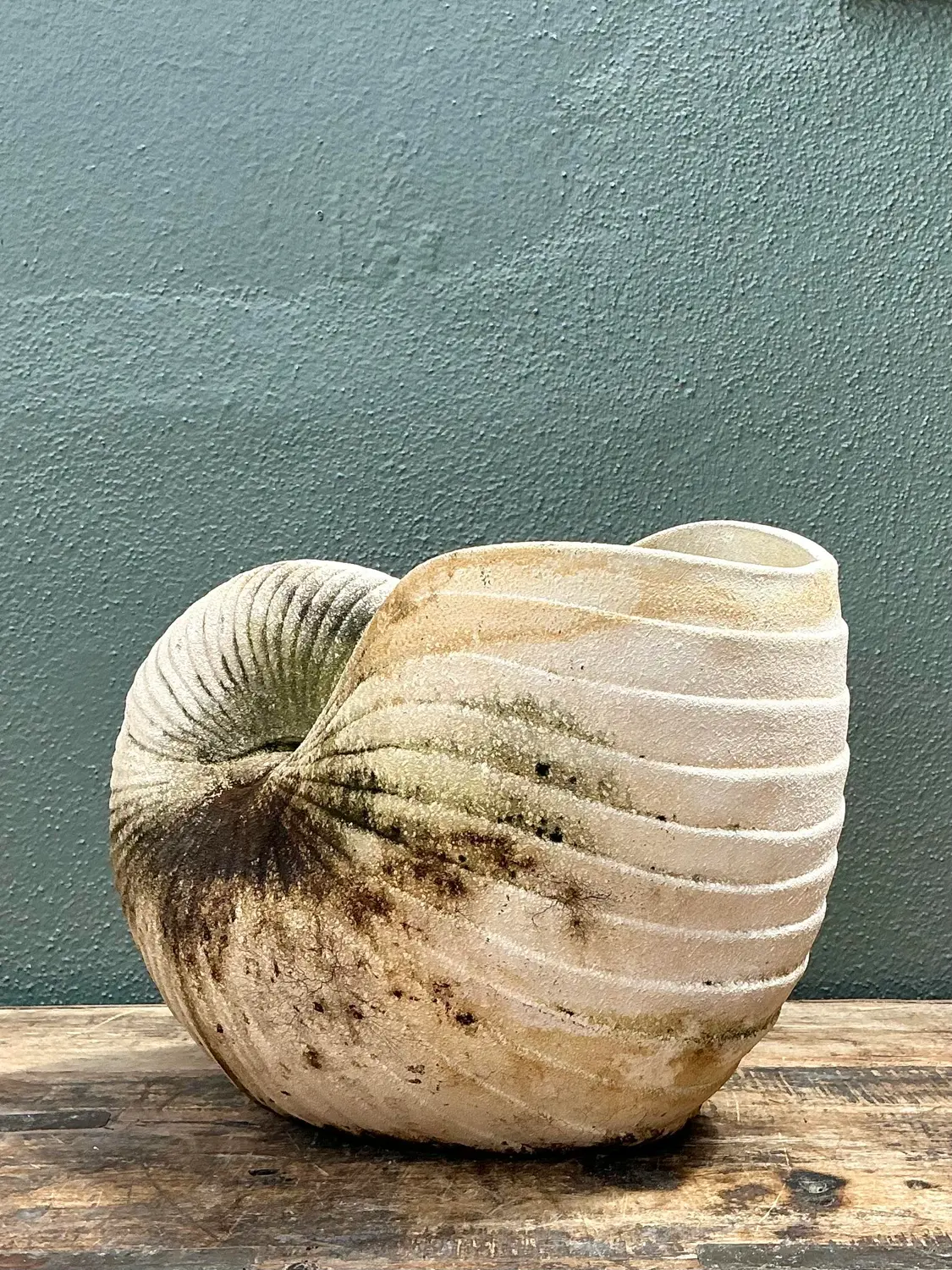 Vintage Cast Nautilus Shell Planter - Top view