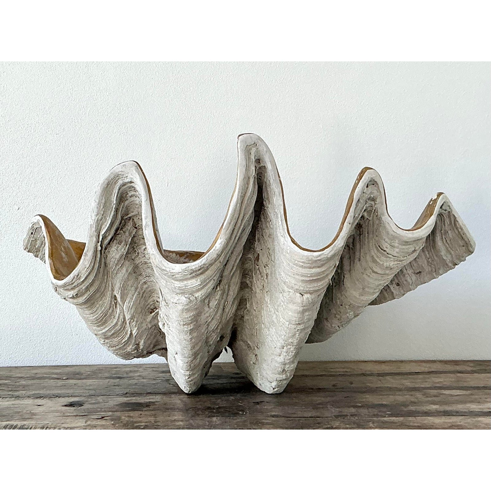 Vintage Cast Resin Giant Clamshell - Detail view