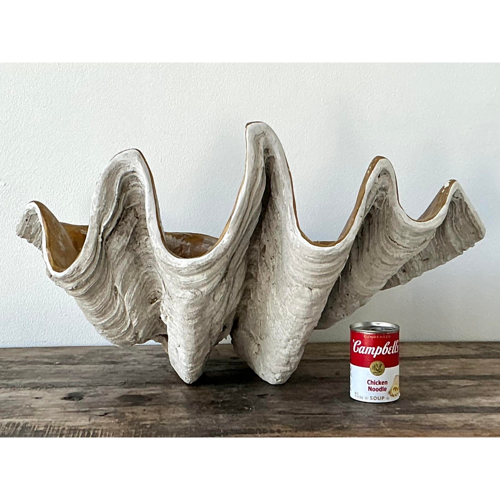 Vintage Cast Resin Giant Clamshell - Top view