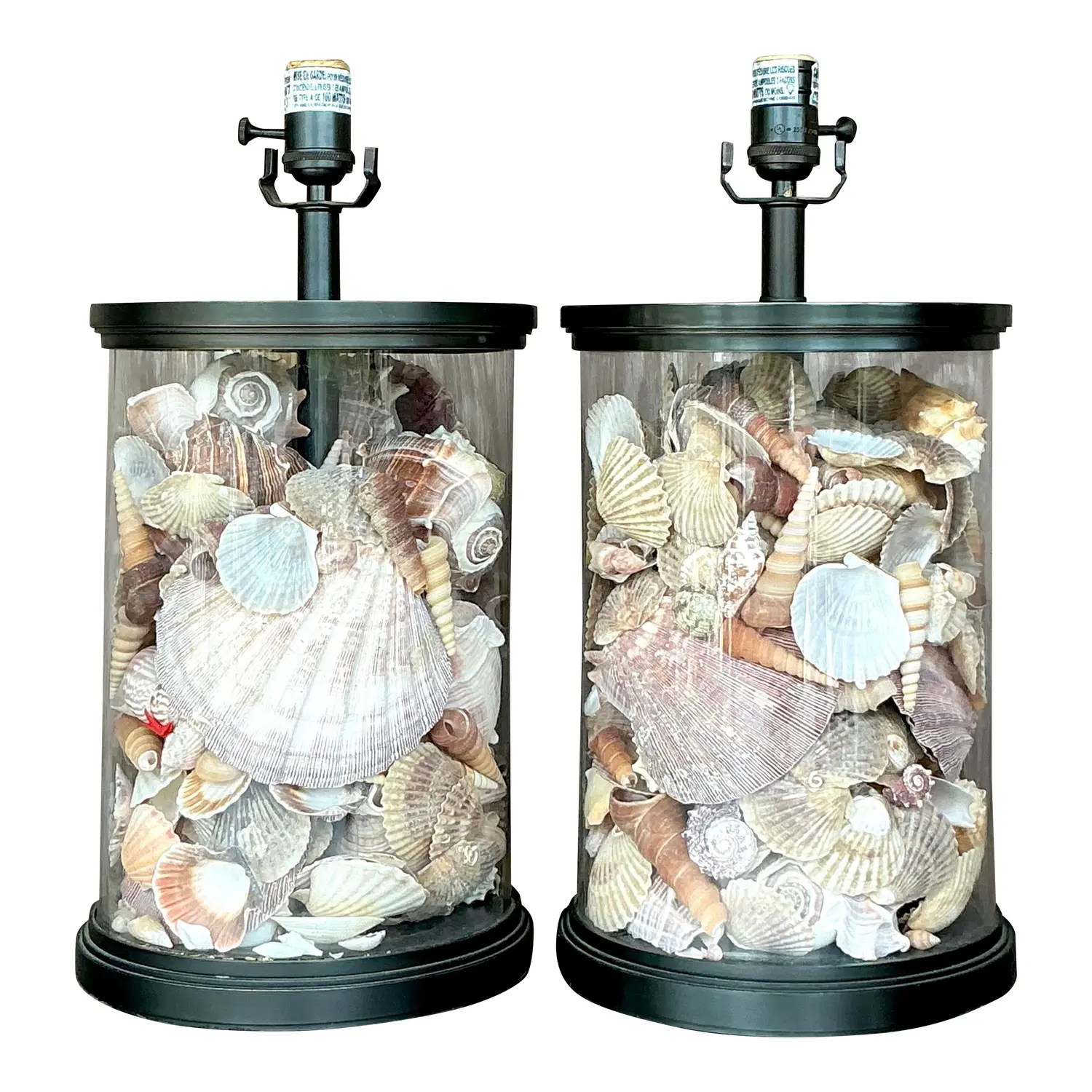 Vintage Coastal Bronze Shell Collector Lamps - a Pair
