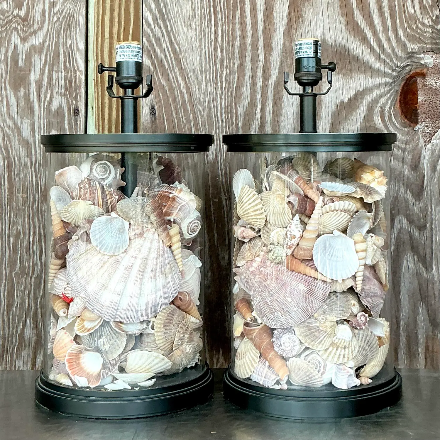 Vintage Coastal Bronze Shell Collector Lamps - a Pair - Back view
