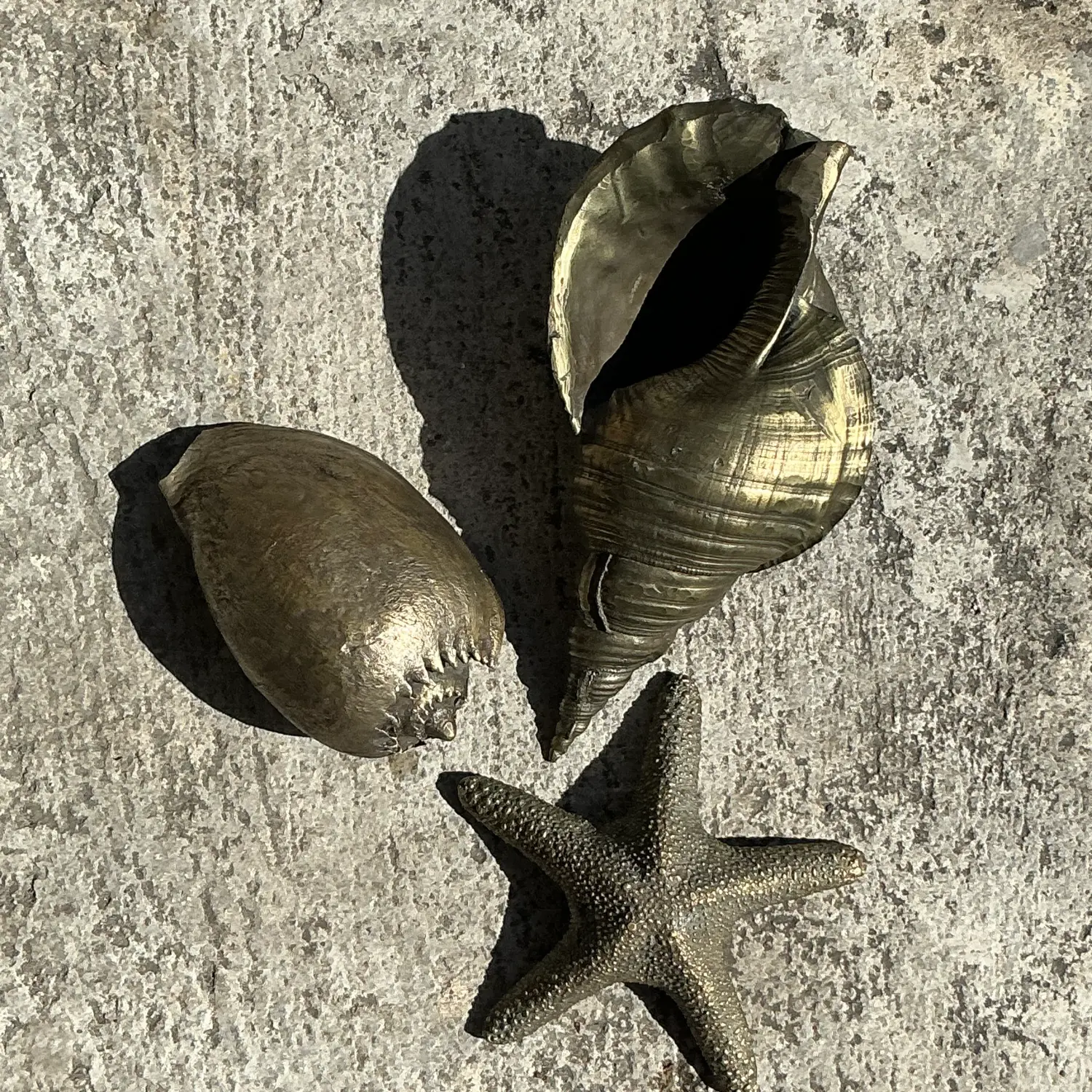 Vintage Coastal Burnished Brass Shells- Set of 3 - Top view