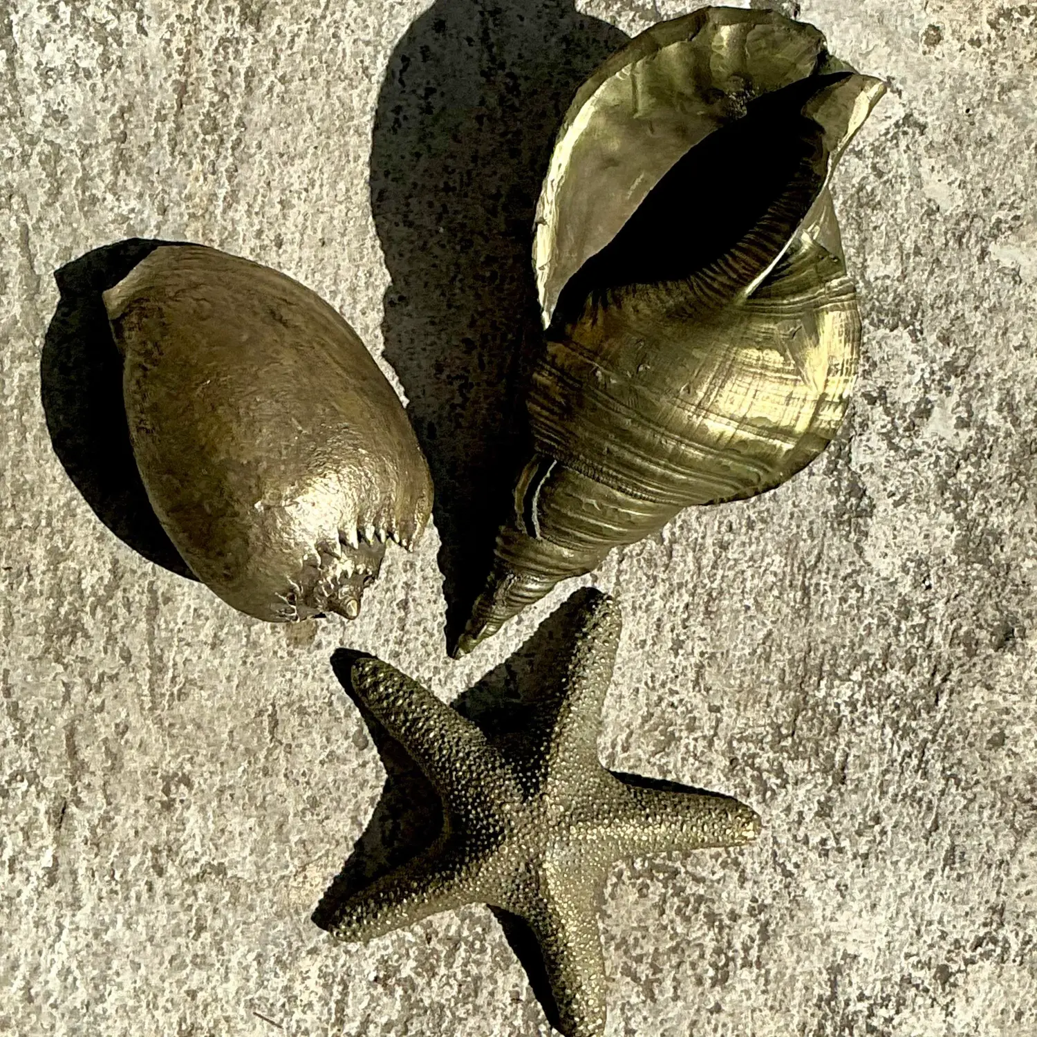 Vintage Coastal Burnished Brass Shells- Set of 3 - Side view