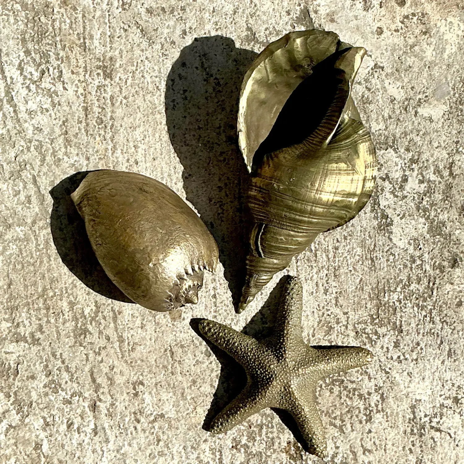 Vintage Coastal Burnished Brass Shells- Set of 3 - Back view
