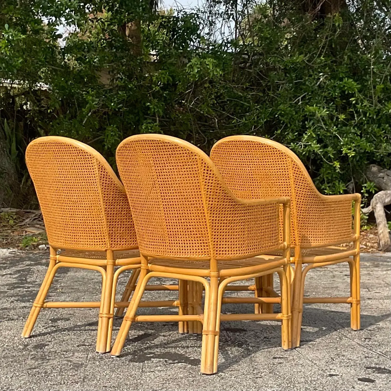Vintage Coastal Cane Rattan Dining Chairs After McGuire - Set of 4 - Detail view