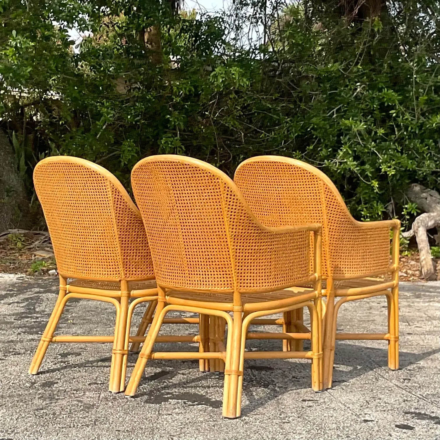 Vintage Coastal Cane Rattan Dining Chairs After McGuire - Set of 4 - Back view