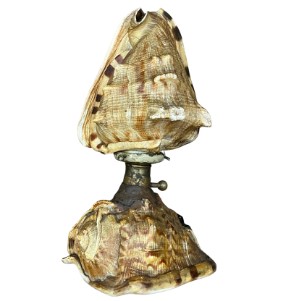 Vintage Coastal Conch Shell Lamp - Detail view