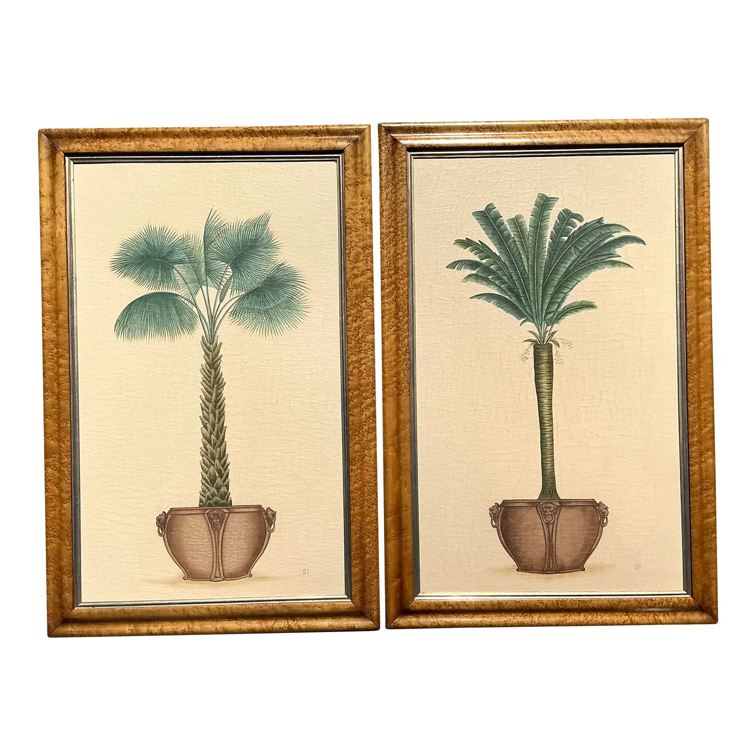 Vintage Coastal Palm Prints - A Pair