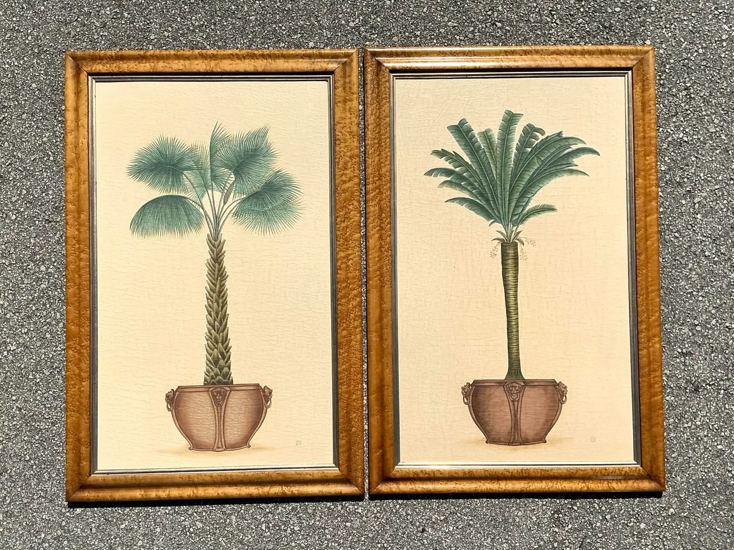 Vintage Coastal Palm Prints - A Pair - Top view