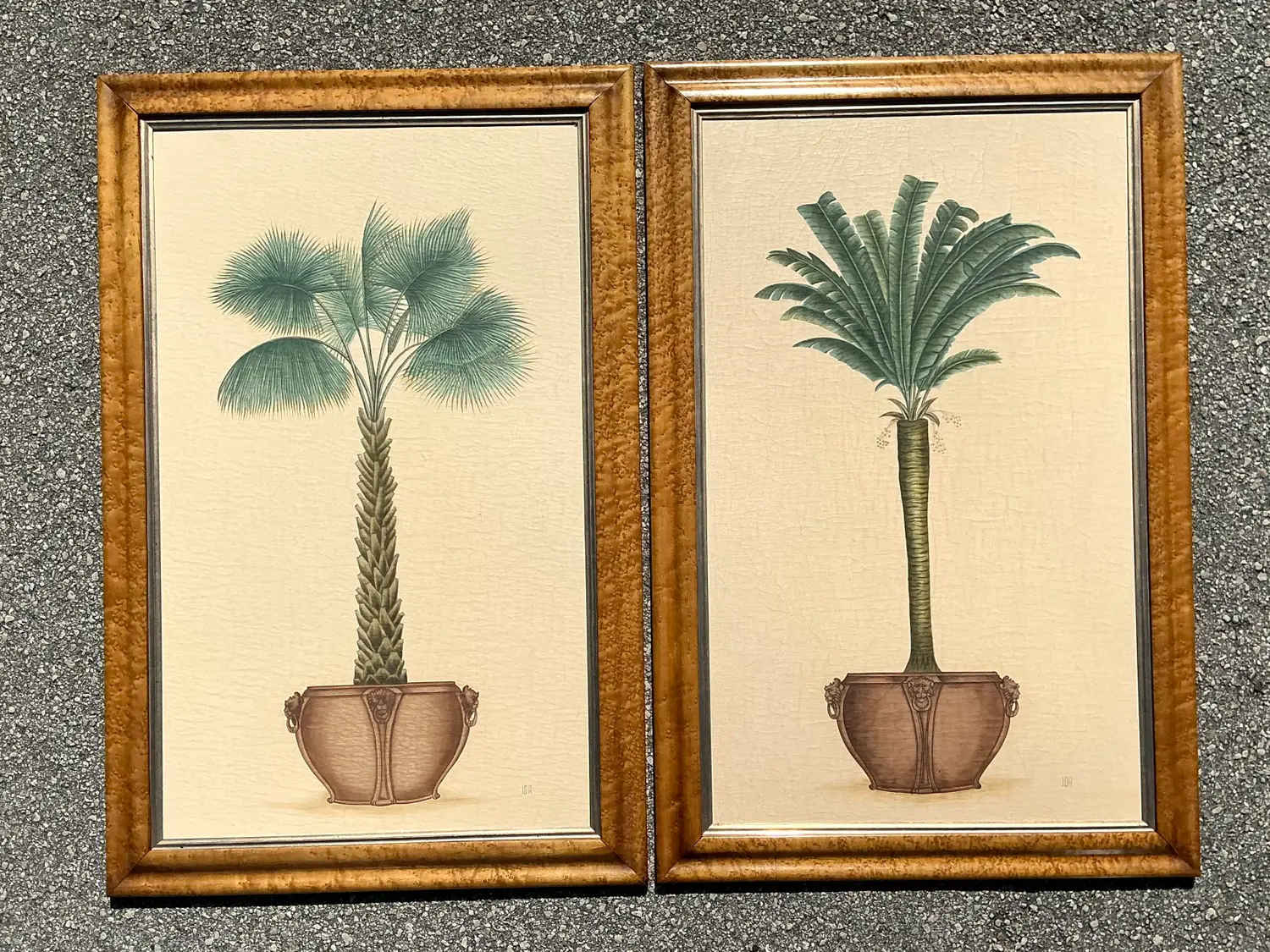 Vintage Coastal Palm Prints - A Pair - Detail view