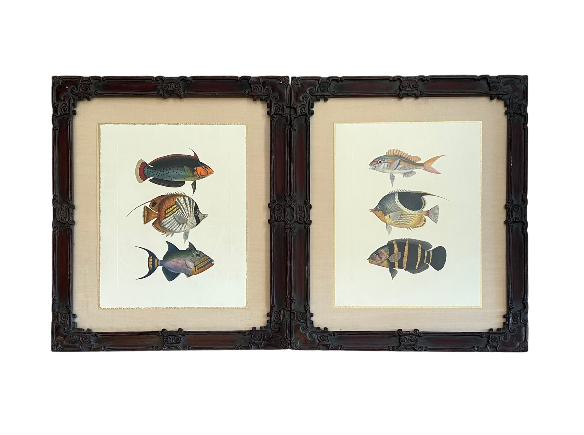 Vintage Coastal Print of Fish- a Pair