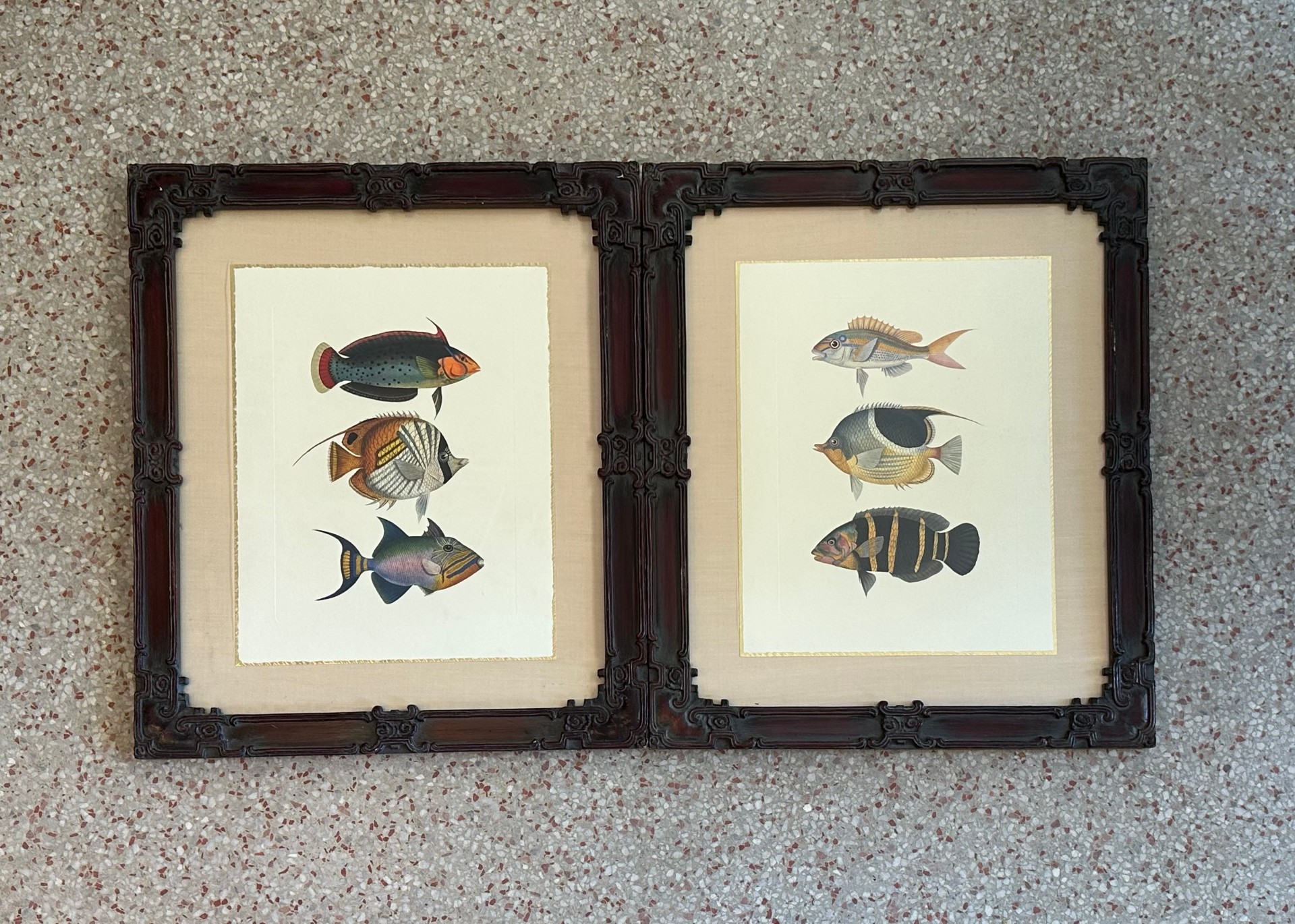 Vintage Coastal Print of Fish- a Pair - Detail view