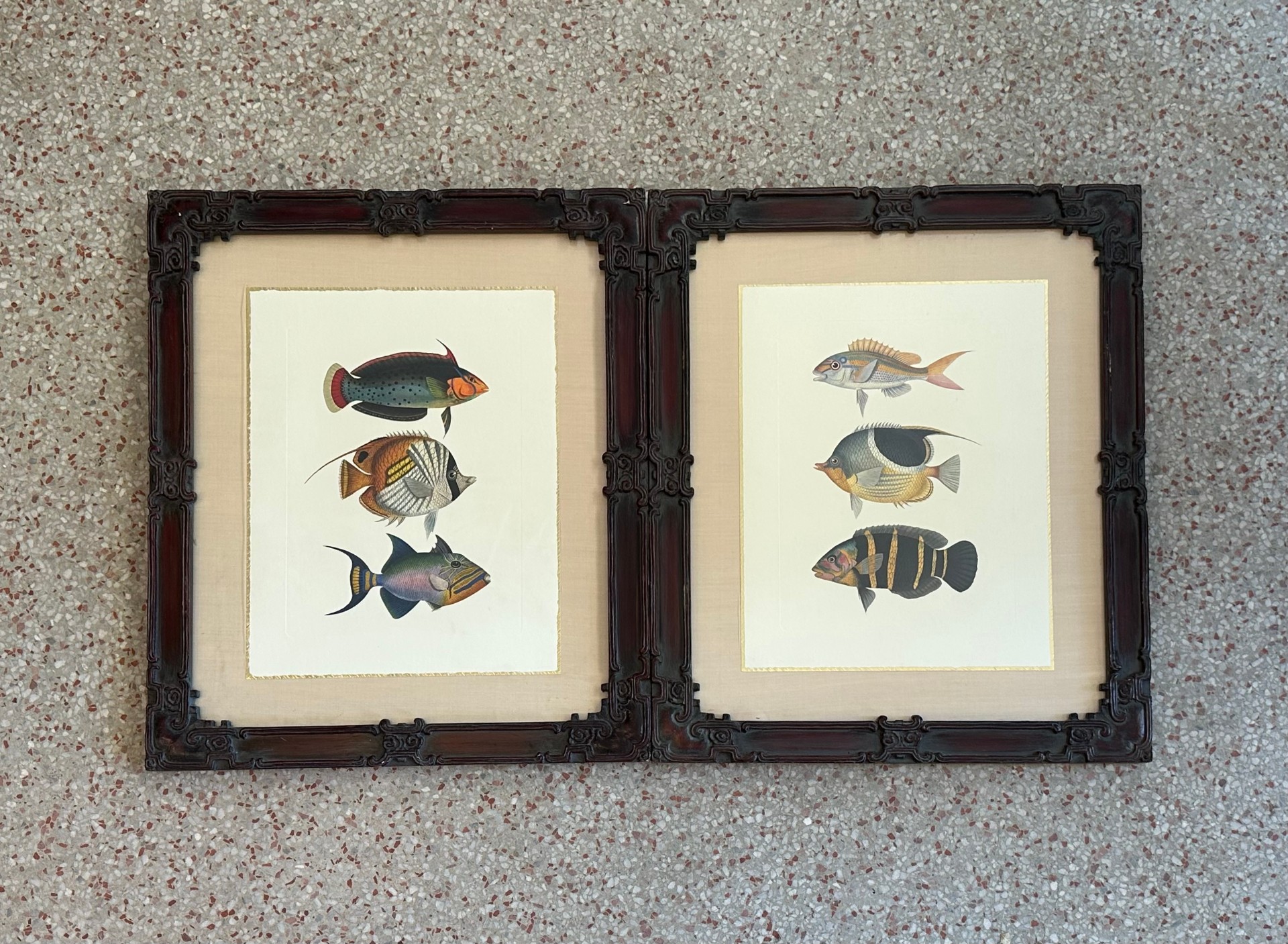 Vintage Coastal Print of Fish- a Pair - Side view