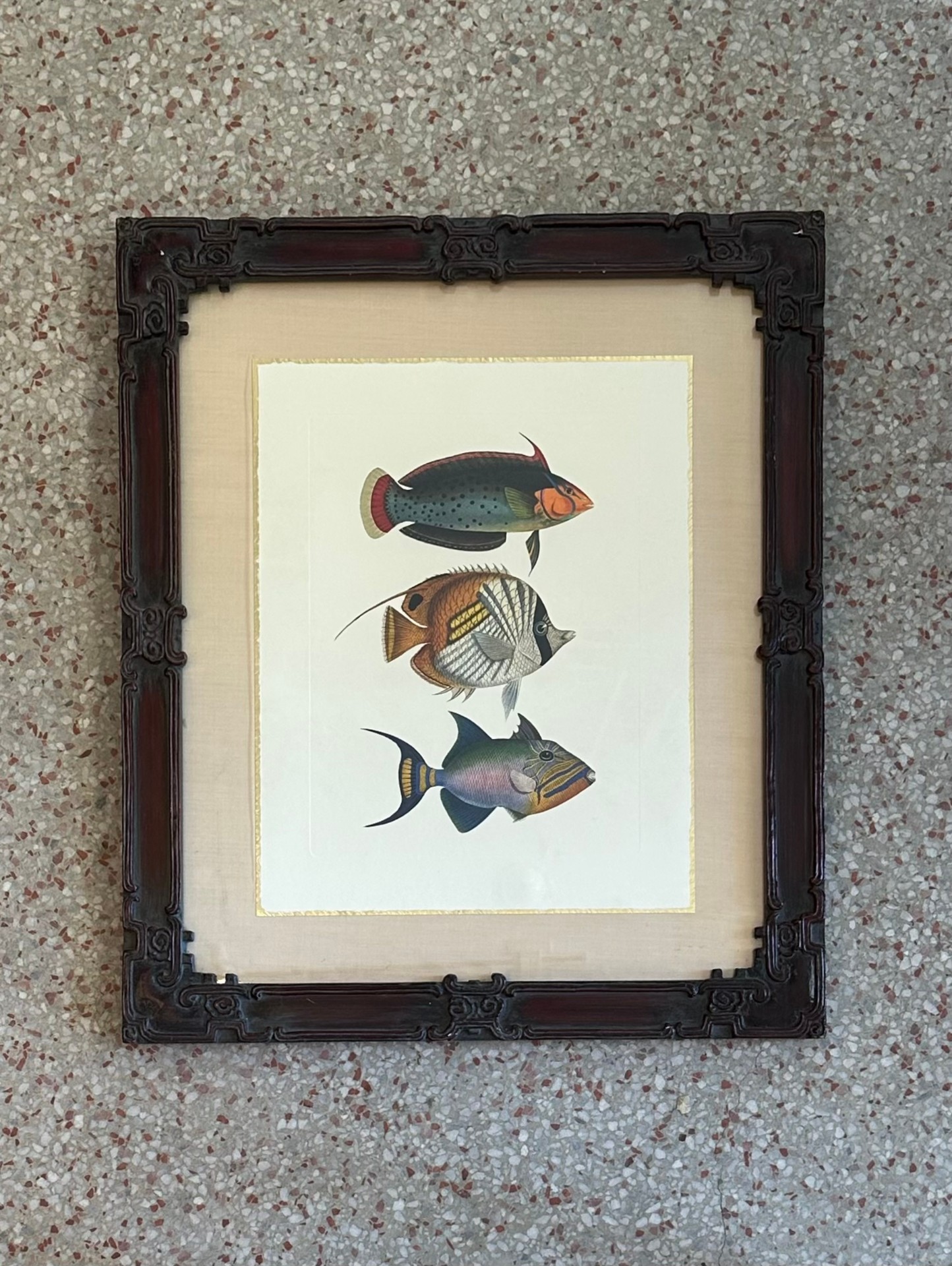 Vintage Coastal Print of Fish- a Pair - Back view