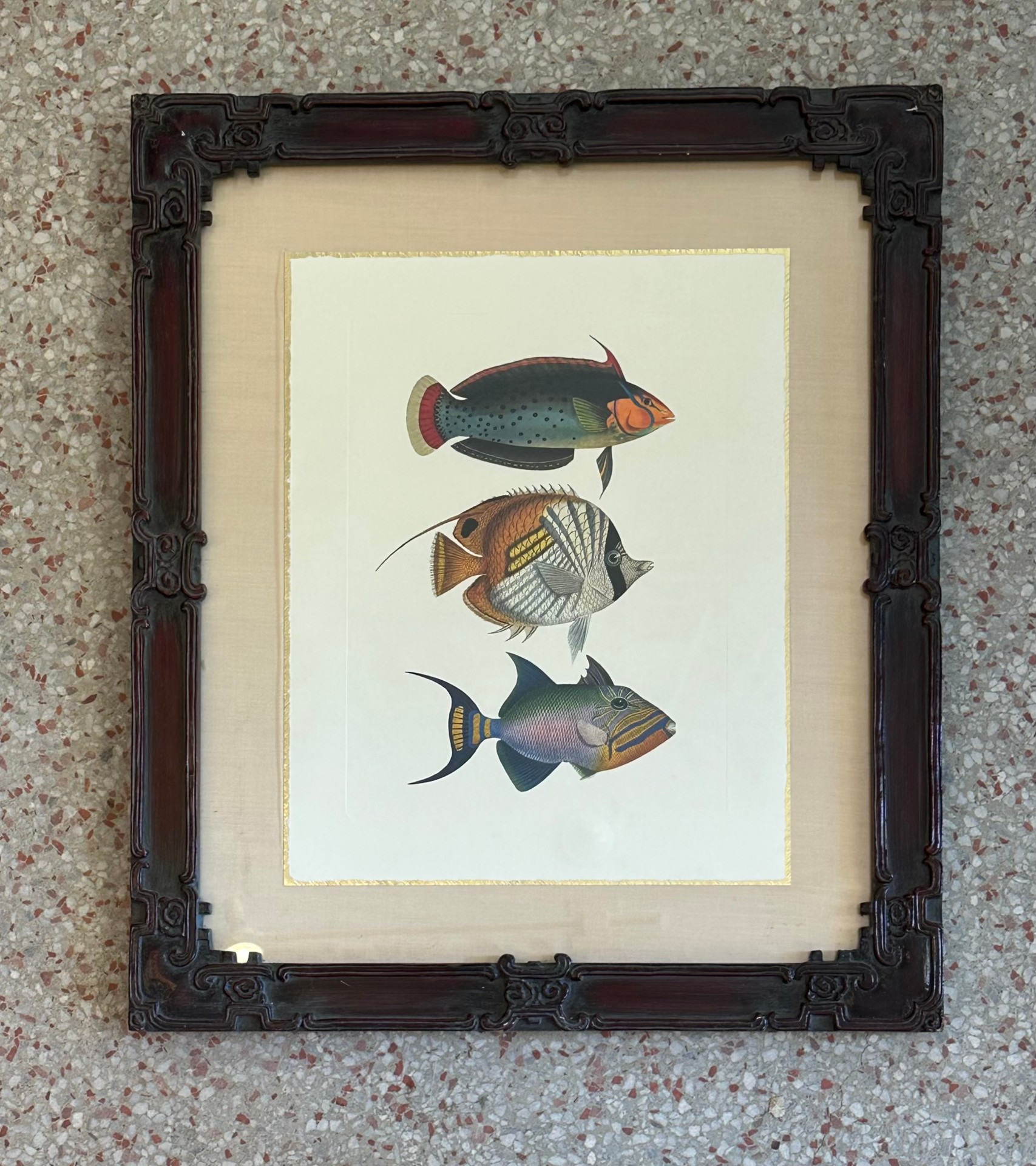 Vintage Coastal Print of Fish- a Pair - Top view