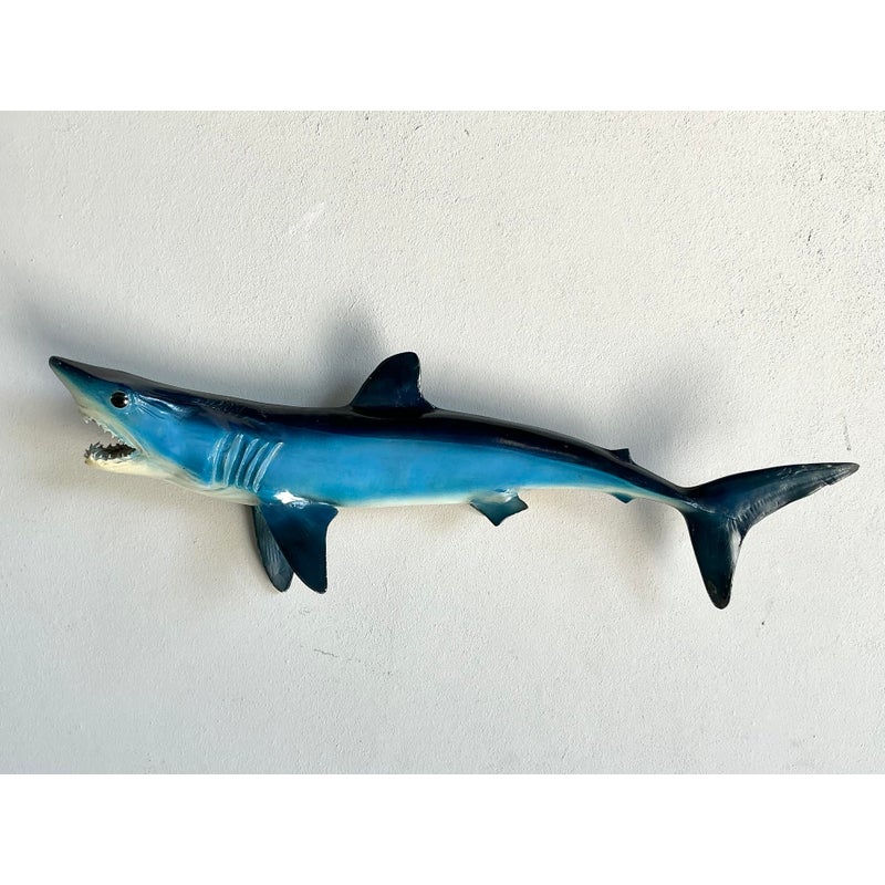 Vintage Coastal Shark Mount - Side view