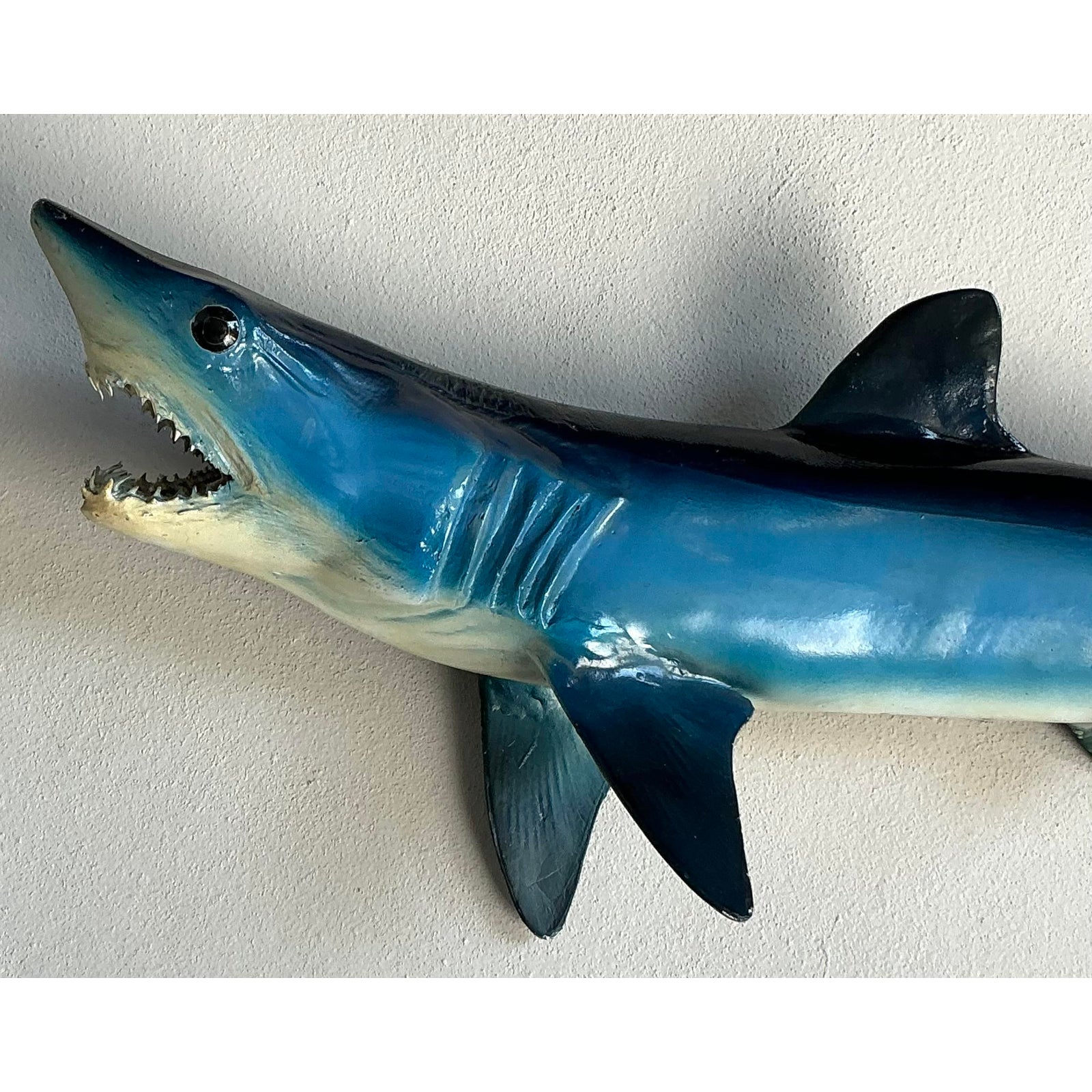 Vintage Coastal Shark Mount - Top view