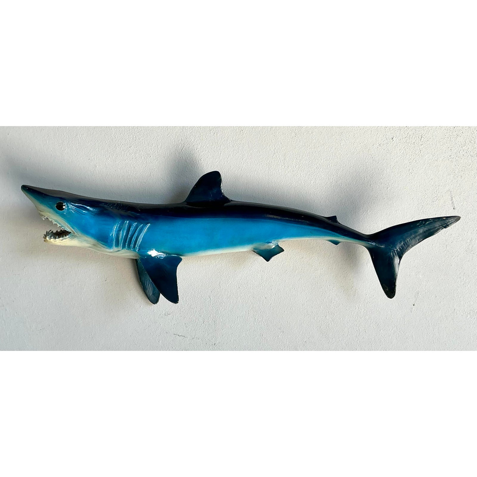 Vintage Coastal Shark Mount - Detail view