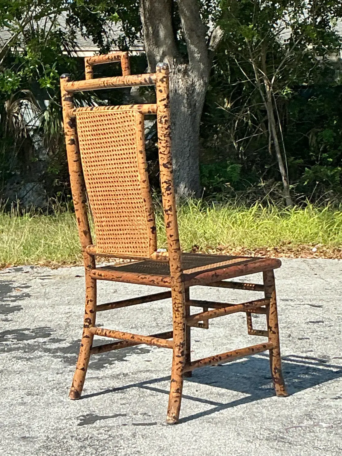 Vintage Coastal Tortoise Bamboo Cane Chair - Top view