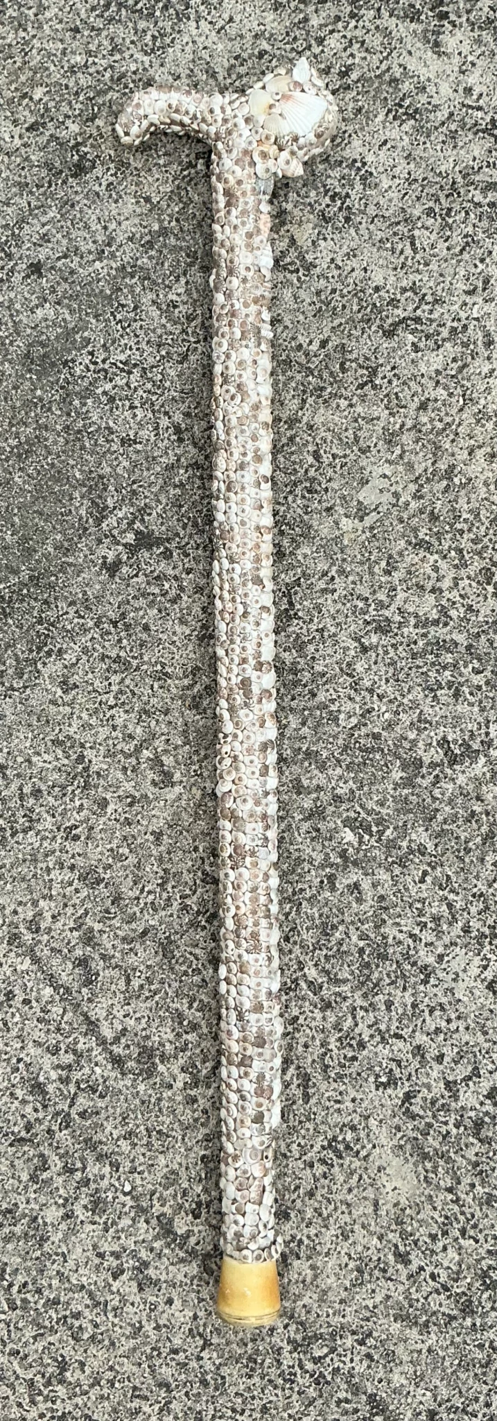 Vintage Costal Shell Encrusted Walking Stick - Top view