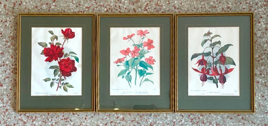 Vintage Framed Botanical Plates - Detail view
