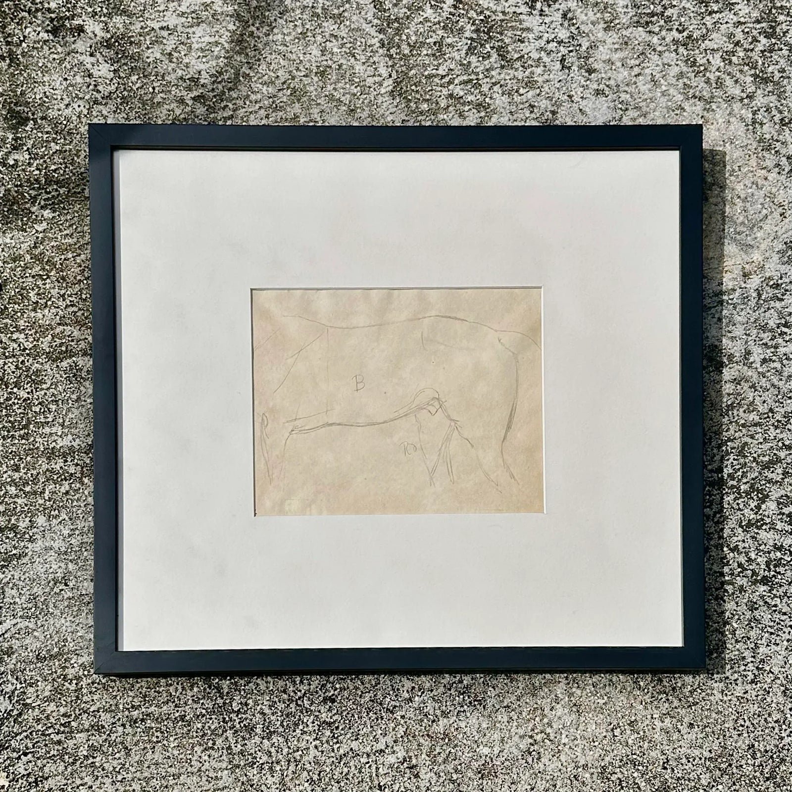 Vintage Framed Horse Body Sketch Drawing - Detail view