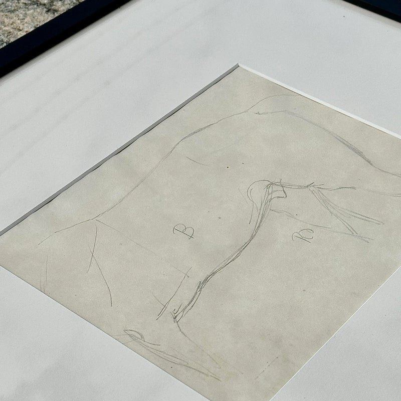 Vintage Framed Horse Body Sketch Drawing - Back view