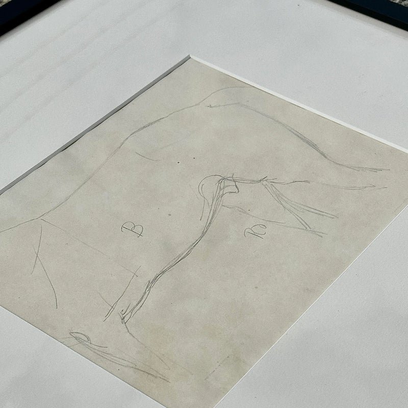 Vintage Framed Horse Body Sketch Drawing - Top view