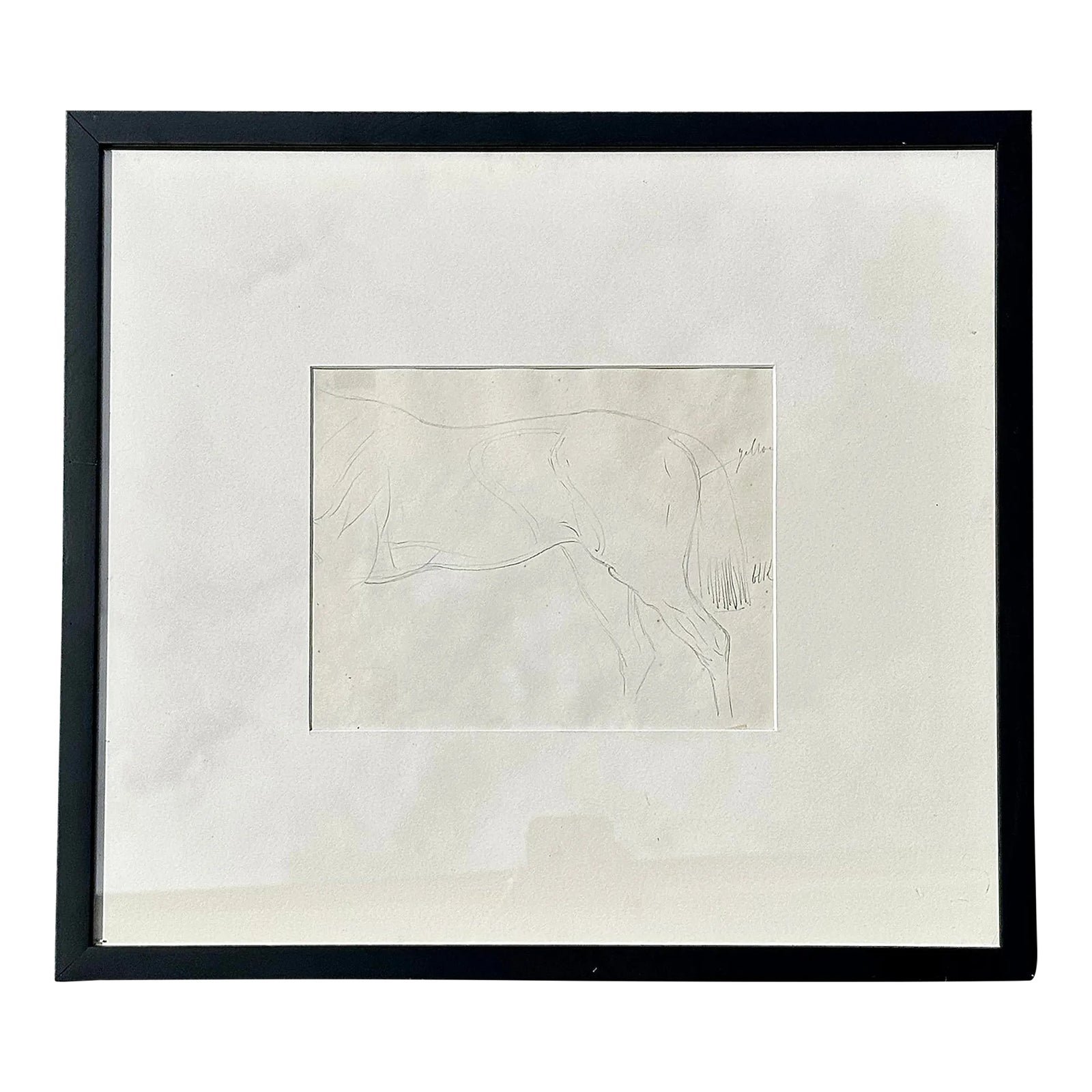 Vintage Framed Horse Body Sketch Drawing