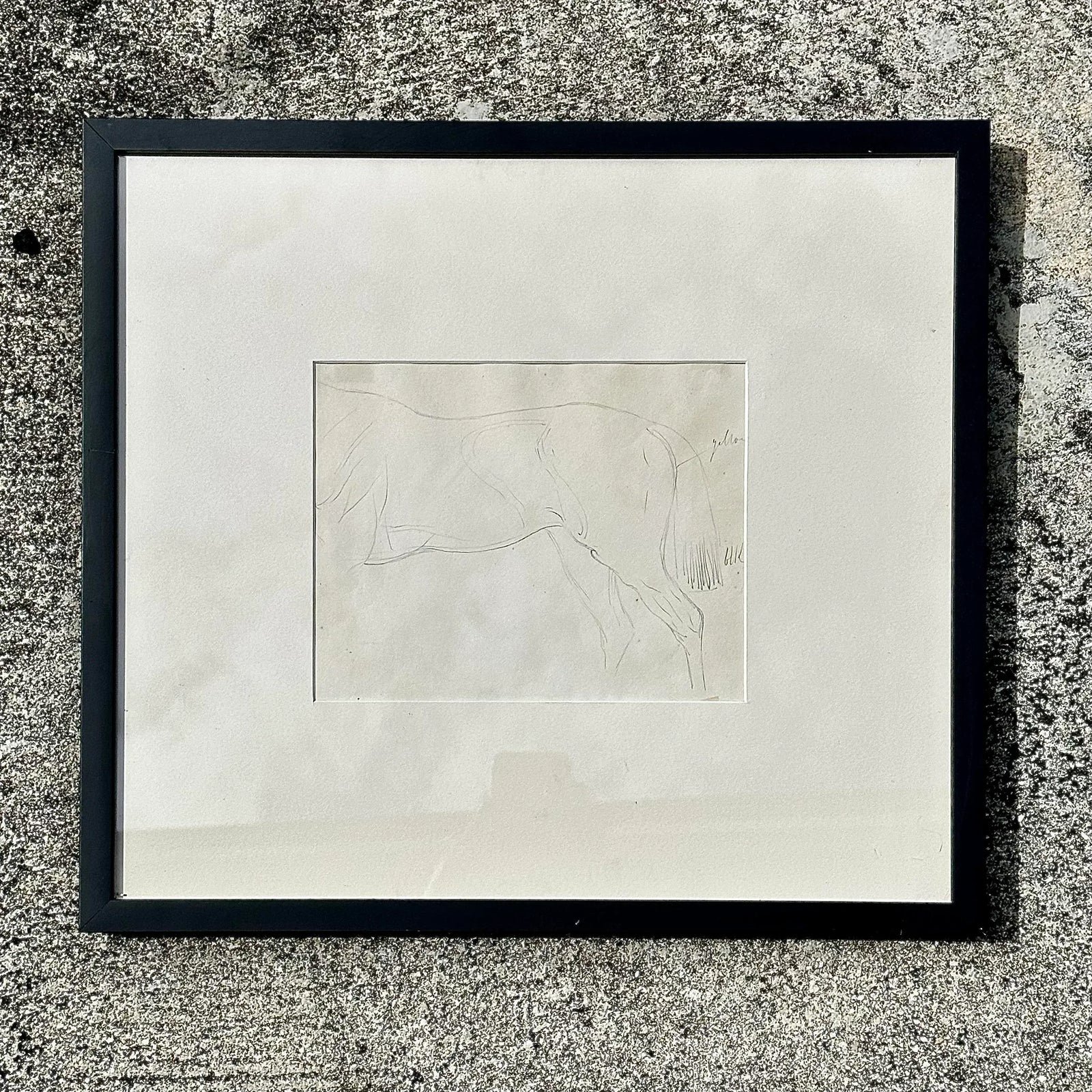 Vintage Framed Horse Body Sketch Drawing - Back view