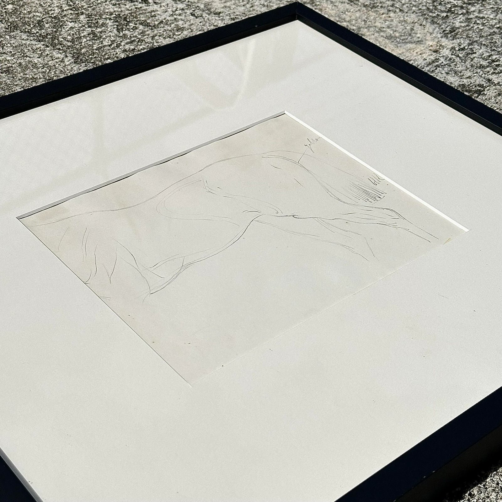 Vintage Framed Horse Body Sketch Drawing - Side view