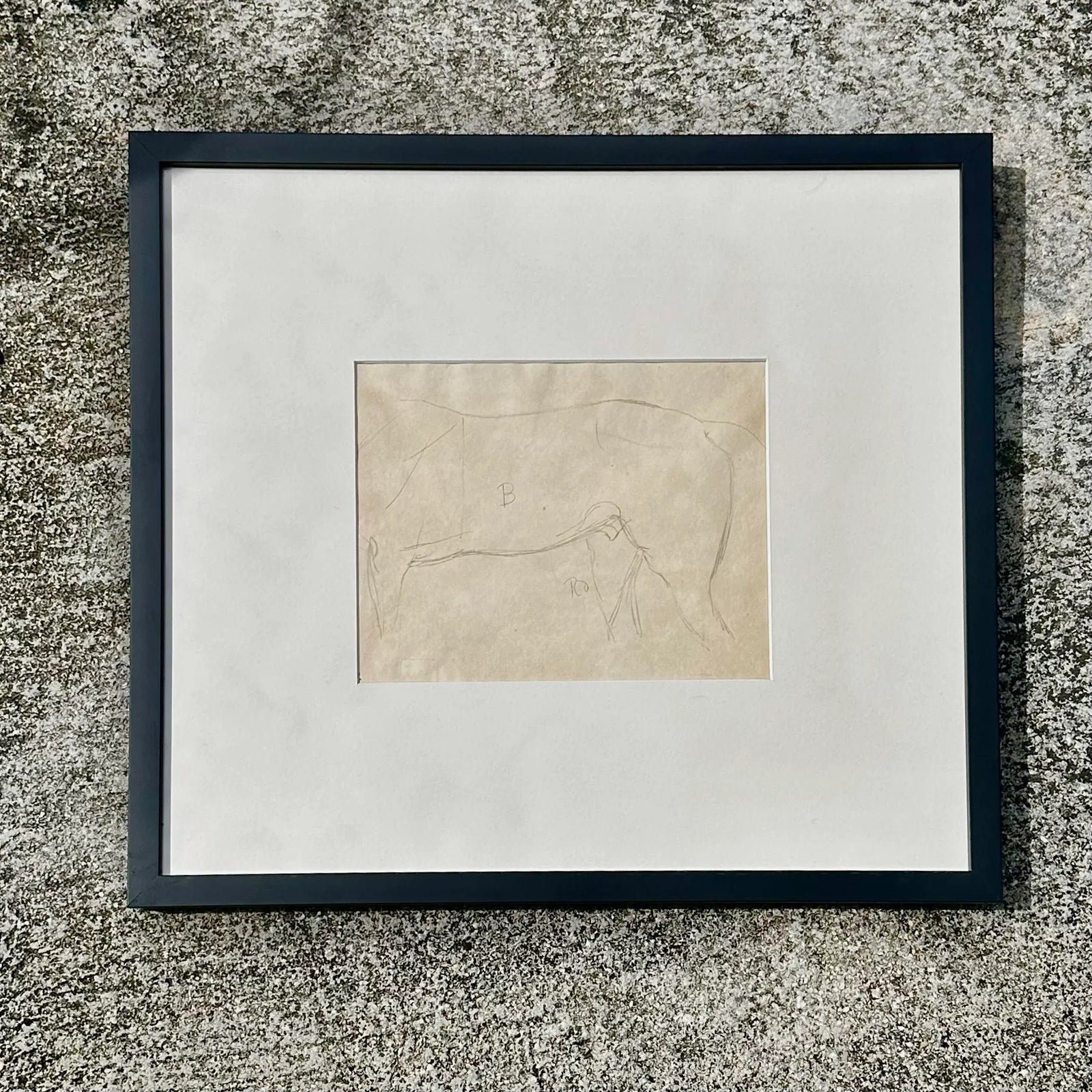 Vintage Framed Horse Body Sketch Drawing - Side view