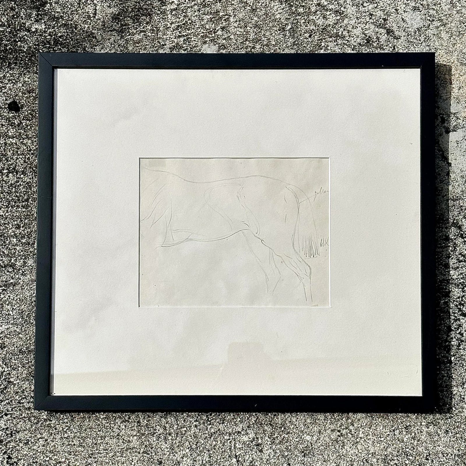 Vintage Framed Horse Body Sketch Drawing - Detail view