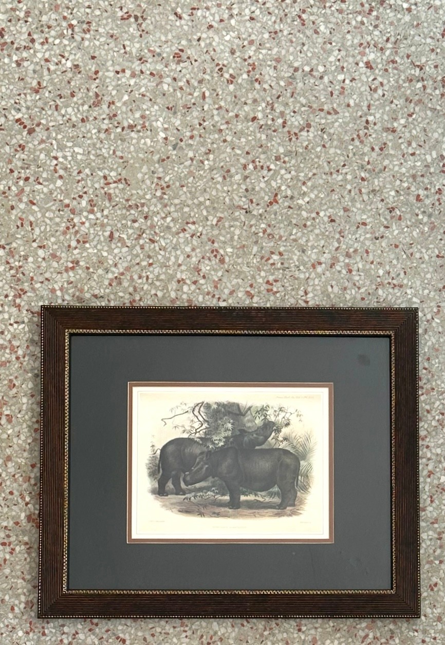 Vintage Framed Illustration of Wild Life Print - Top view