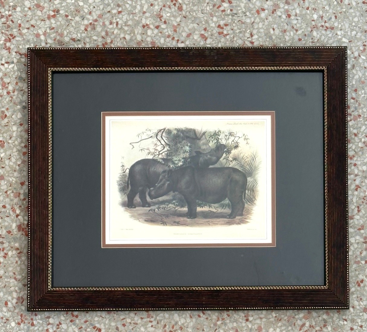 Vintage Framed Illustration of Wild Life Print - Detail view