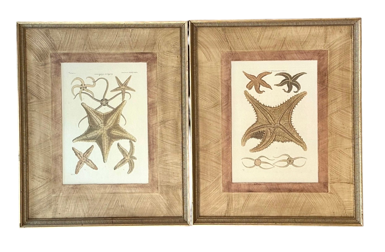 Vintage Framed Nautical Starfish Prints - a Pair
