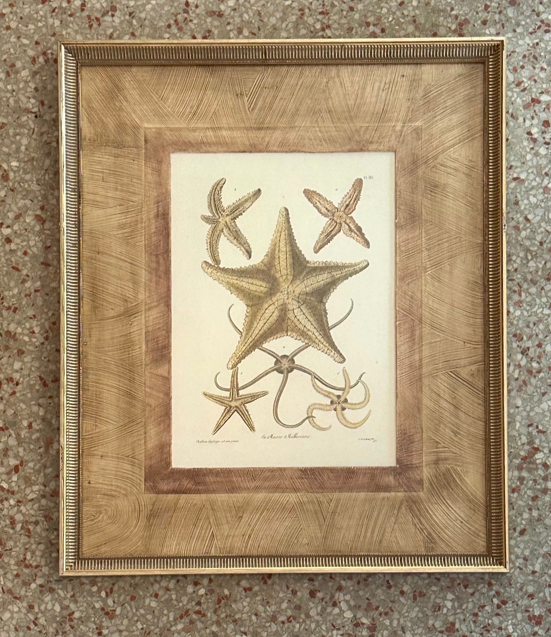 Vintage Framed Nautical Starfish Prints - a Pair - Back view