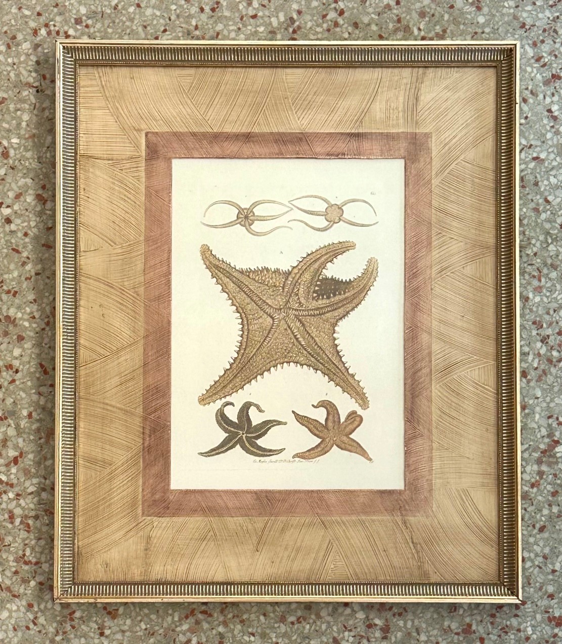Vintage Framed Nautical Starfish Prints - a Pair - Side view