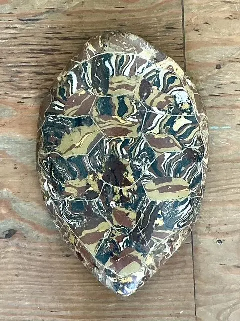 Vintage Italian Scagliola Artisan Made Pigmented Plaster Turtle Shell - Back view