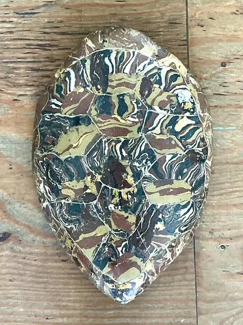 Vintage Italian Scagliola Artisan Made Pigmented Plaster Turtle Shell - Top view