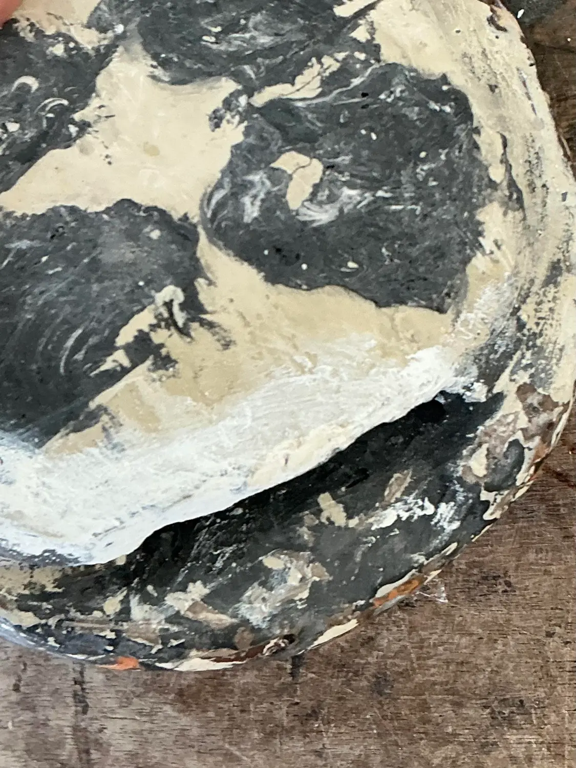 Vintage Italian Scagliola Artisanal Pigmented Plaster Turtle Shell - Back view