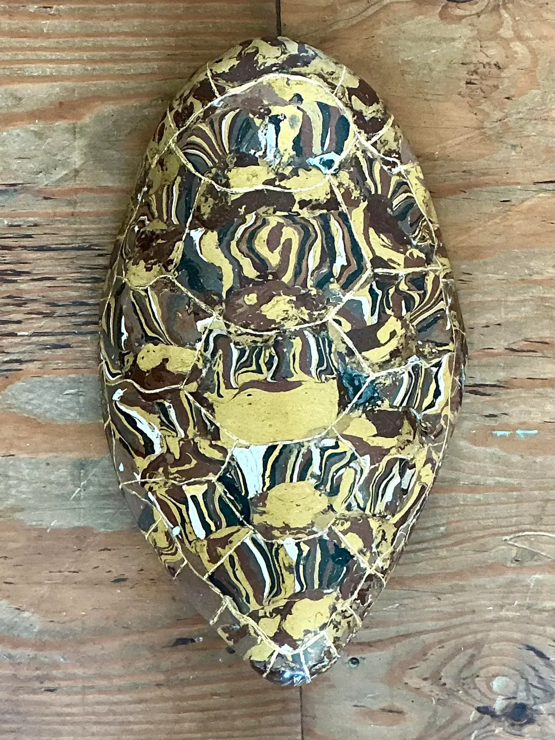 Vintage Italian Scagliola Gilt Tipped Pigmented Plaster Turtle Shell - Top view