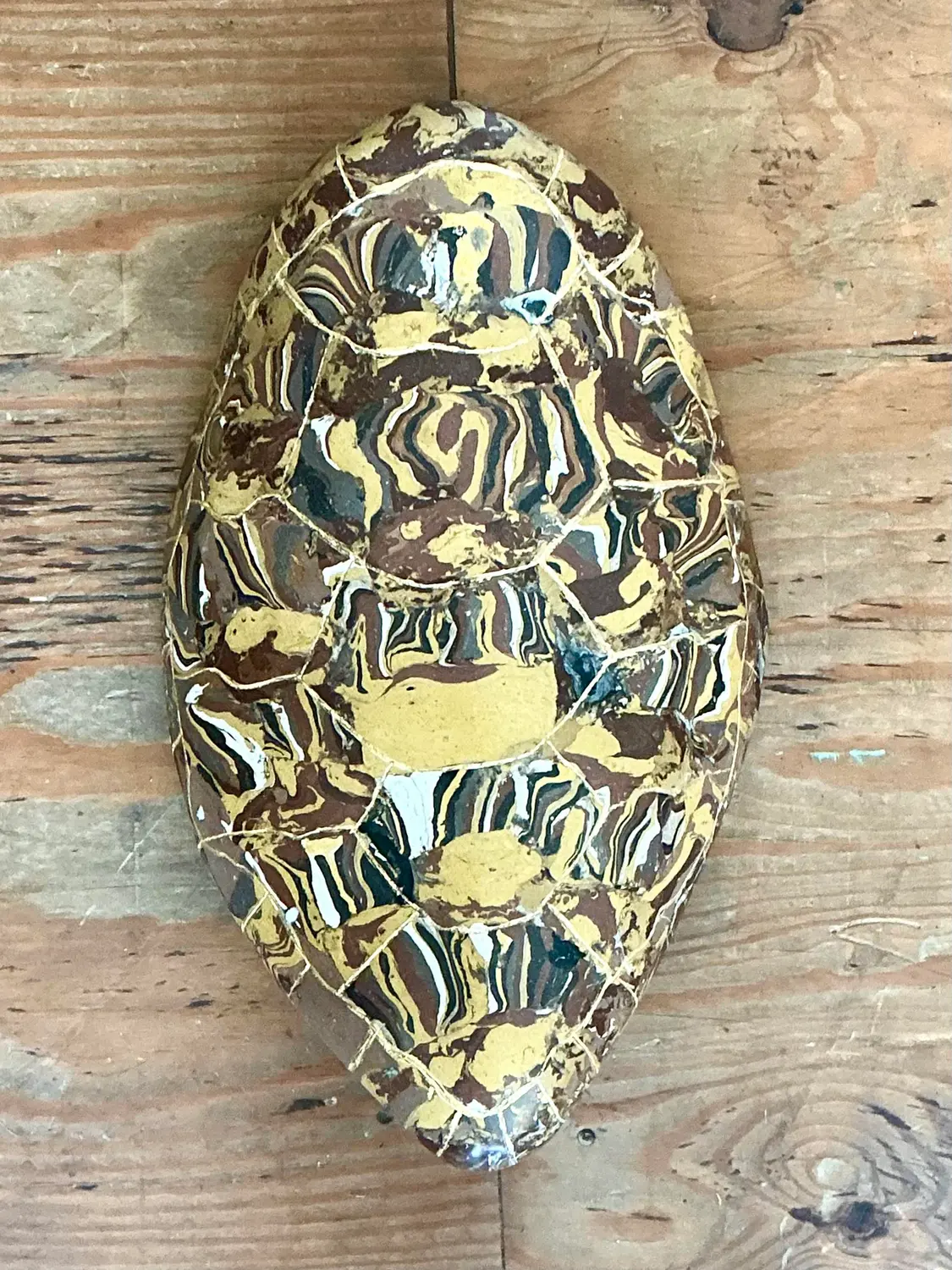 Vintage Italian Scagliola Gilt Tipped Pigmented Plaster Turtle Shell - Detail view