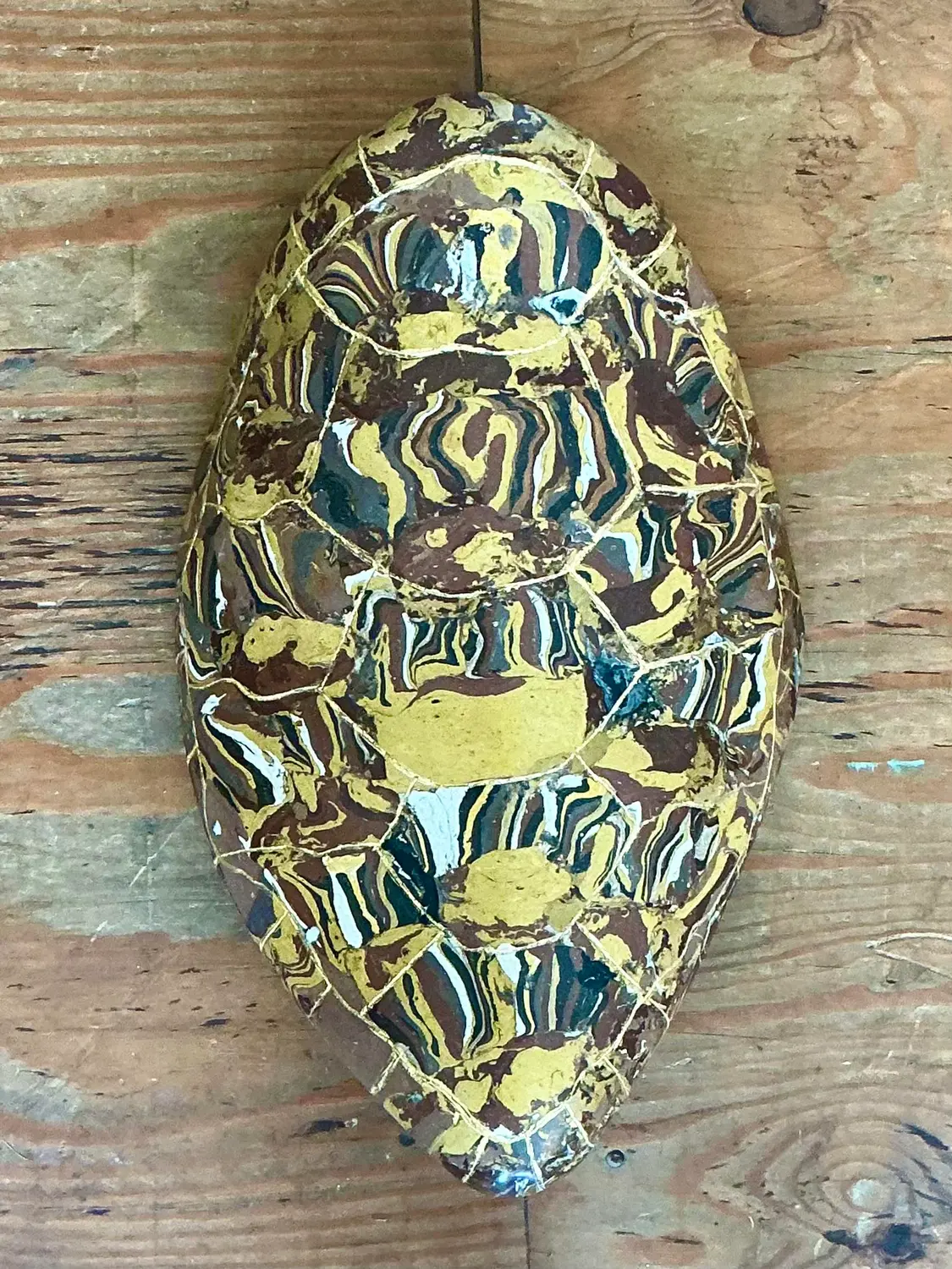 Vintage Italian Scagliola Gilt Tipped Pigmented Plaster Turtle Shell - Side view