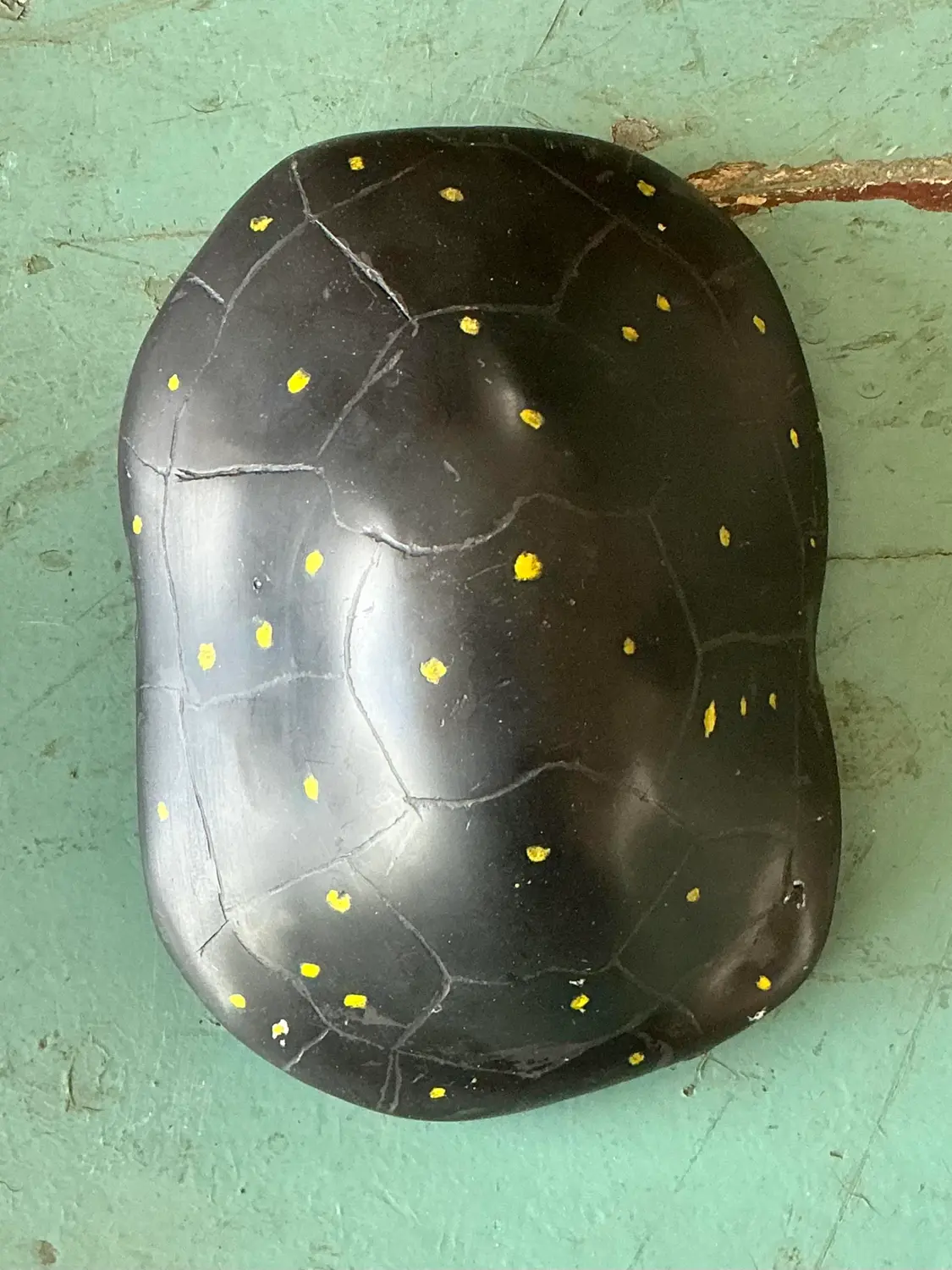 Vintage Italian Scagliola Pigmented Plaster Turtle Shell - Top view