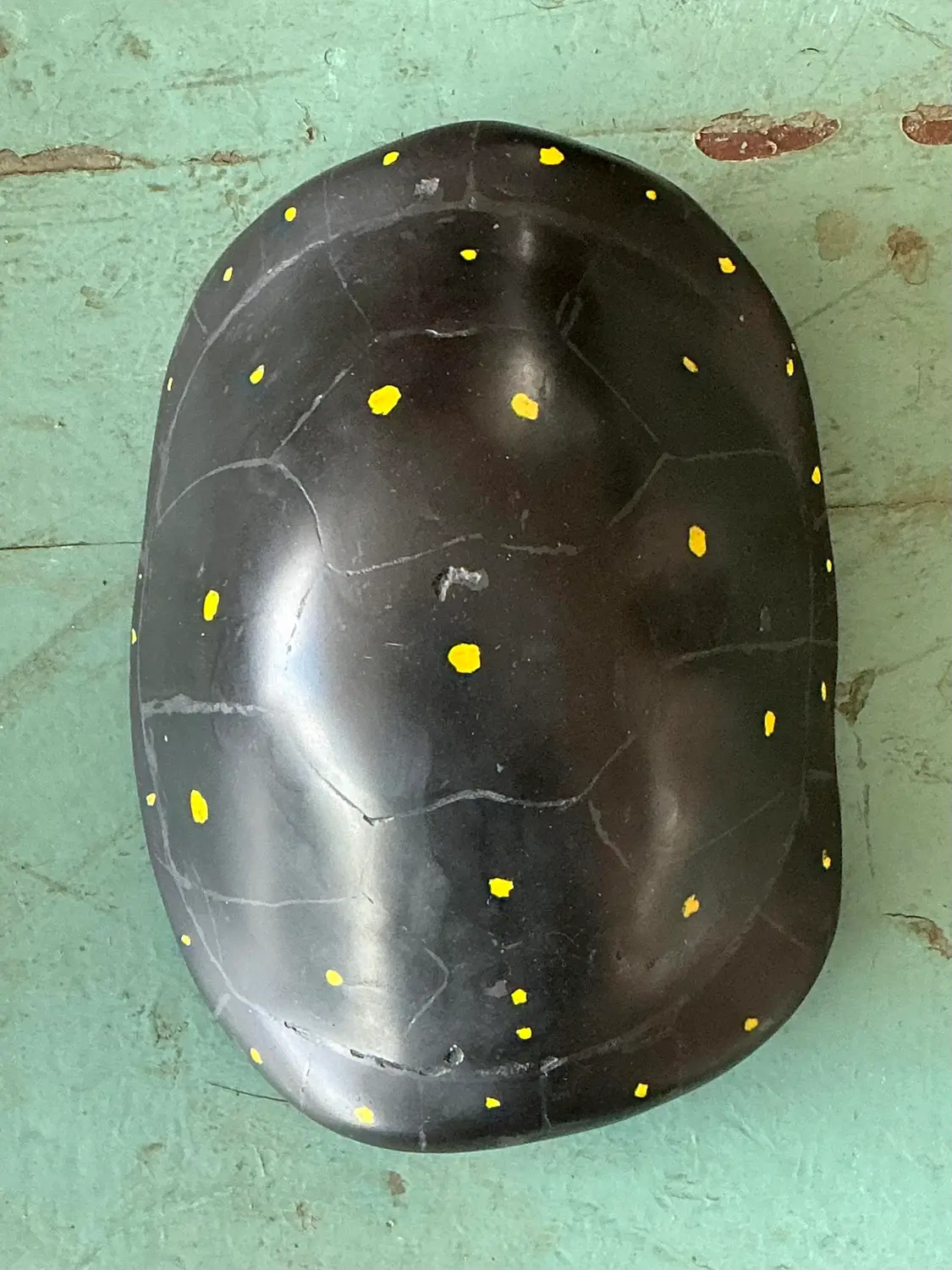 Vintage Italian Scagliola Pigmented Plaster Turtle Shell - Detail view